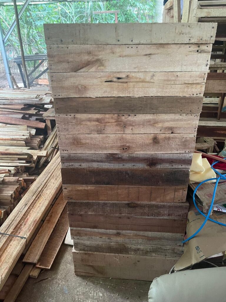 WhatsApp Image 2024-12-24 at 13.00.54 (1)