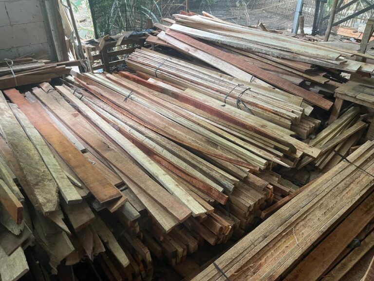 WhatsApp Image 2024-12-24 at 13.00.54